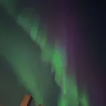 Comfy In Tromsø