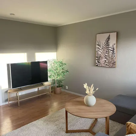 Comfy In Apartment
