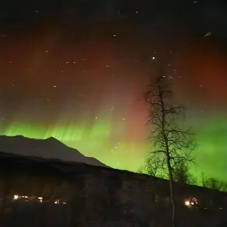 Apartamento Comfy In