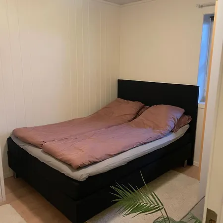 Comfy In