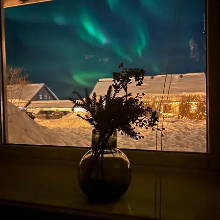 Comfy In Apartman Tromsø