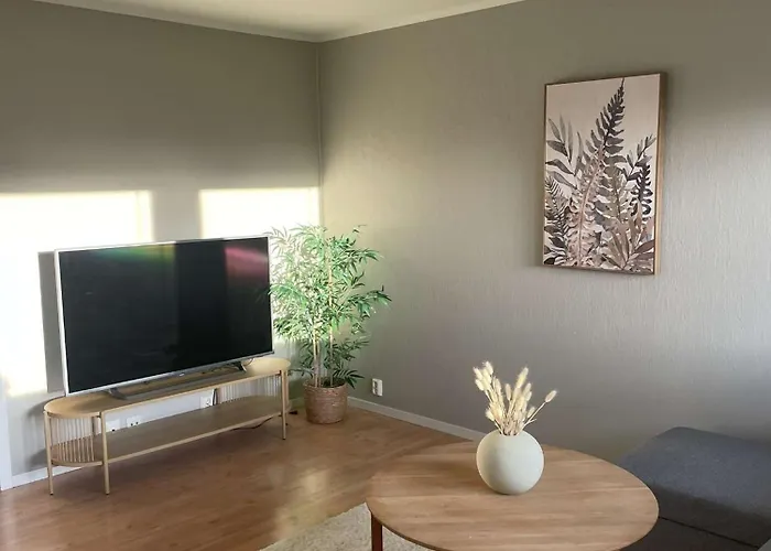 Comfy In Apartman